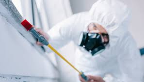 Best Pest Control for Multi-Family Homes  in Clendenin, WV